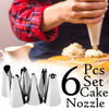 2517 Cake Decorating Stainless Steel Nozzle (6pcs) 