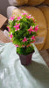 Wild Artificial Flower Plants with Cute Pot | Flower Plant for Home Office Decor | Tabletop and Desk Decoration | Artificial Flower for Balcony Indoor Decor, Plants for Living Room (1 Pc)